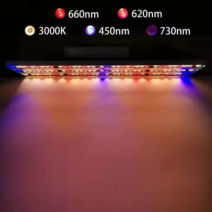 leds indoor quantum board 03(001)